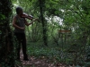 Violini e musica nel bosco di Parco Langer